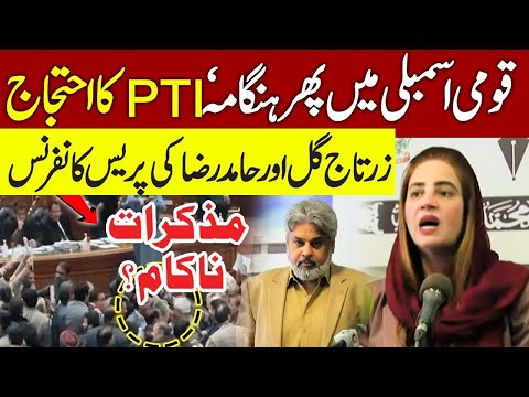 PTI Sahibzada Hamid Raza & Zartaj Gul Wazir Press Conference