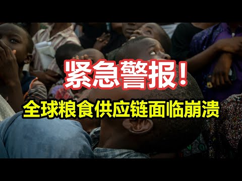 全球粮食危机危及世界：我们是否能找到解决之道？