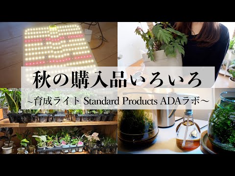 【購入品紹介】最近の植物の色々｜BRIM パネル型育成ライト｜ADAラボ｜Standard Products