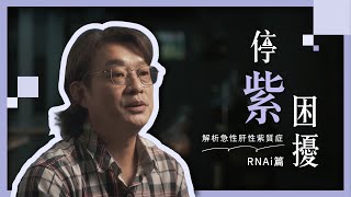 停「紫」困擾：解析急性肝性紫質症–RNAi藥物篇 #紫質症病友故事