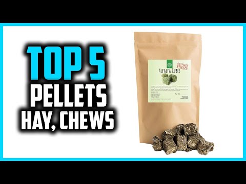 ✅Top 5 Best Pellets, Hay, Chews in 2025