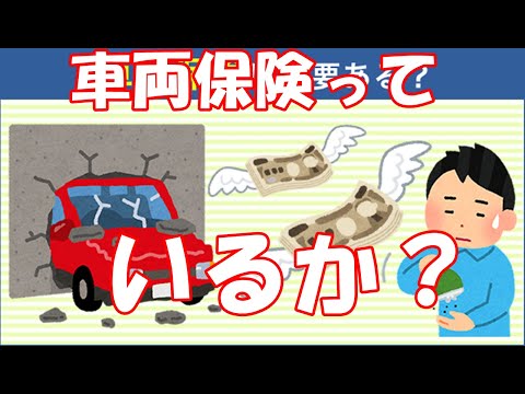 車両保険っているか？