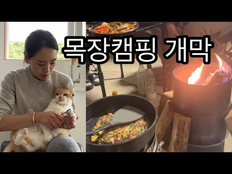 귀촌댁브이로그ㅣ프로캠퍼들 대환영!목장캠핑 시즌 시작! / 바쁜남편과 살다보니 느는건 혼자놀기 / 올봄 마지막 두릅