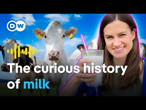 Milk: Why do we drink it? Health, money and marketing | Don't Drink the Milk – Podcast