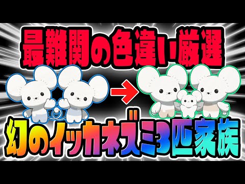 【確率1/409600】幻のイッカネズミ3匹家族証持ち色違いを狙っていきます！Part28【ポケットモンスター スカーレット・バイオレット/SV】