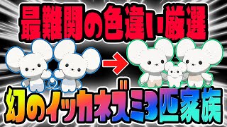 【確率1/409600】幻のイッカネズミ3匹家族証持ち色違いを狙っていきます！Part28【ポケットモンスター スカーレット・バイオレット/SV】