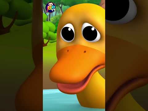 #Shorts Golden Eggs Duck Story - सुनहरे अंडे वाली बत्तख की कहानी | Hindi Moral Stories | Jojo Tv