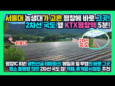 [급매] 서울대가 고른 평창 바로 그곳! 2차로 국도 옆 KTX평창역 5분, 평창IC 8분, 메밀꽃 필 무렵 대화장 10분거리 평창토지매매 평창부동산 - 한빠부TV #청산공인중개사