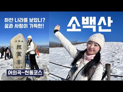 숨니vlog. 온 세상 새하얀 소백산🤍 등산 | 브이로그 | 등린이 | 혼산 | 겨울산행 | 등산추천 | 눈꽃산행 | 설경 | 알레버스 | 하이킹 | 트레킹 | hiking