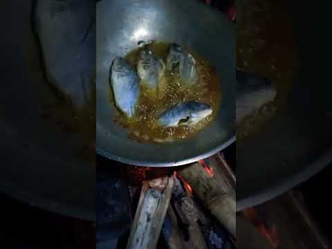 Frying Fish On Wood; ASMR Cooking 🐟🇵🇭#tilapia #fryingfish #frying #asmrcooking