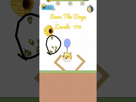 Save The Doge Level 178 3 STARS Gameplay. #savethedoge #gameplay #shorts #gameshorts #mobilegame