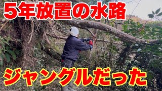 【増産計画】５年間放置の水路はジャングルになっていた【水路復旧】