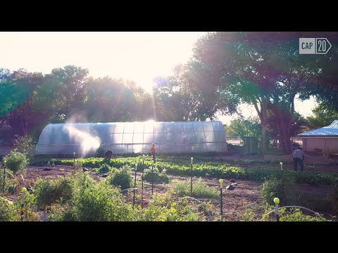 Small-Scale Farm Brings Food Justice to Strengthen Communities Across New Mexico's Food Deserts