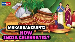 Makar Sankranti 2025: Why is Makar Sankranti celebrated & how does India celebrate it through food?