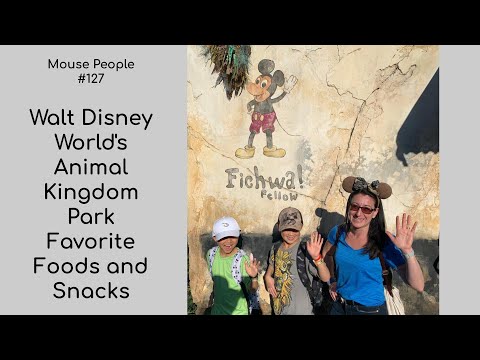 Walt Disney World's Animal Kingdom Park | Favorite Foods and Snacks #127