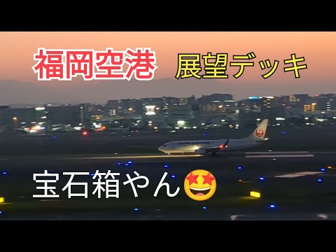 [Fukuoka Airport] The observation deck from evening to night is the best🤩⑩-5