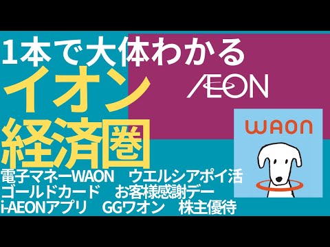 【全解説】1本で全部わかるイオン経済圏！ポイント活用でお得に買い物する方法を徹底解説！【2024年最新】