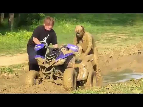 TRY NOT TO LAUGH WATCHING FUNNY FAILS VIDEOS 2024 #70