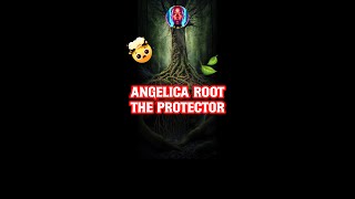 Hidden POWERS of Angelica Root 🌿