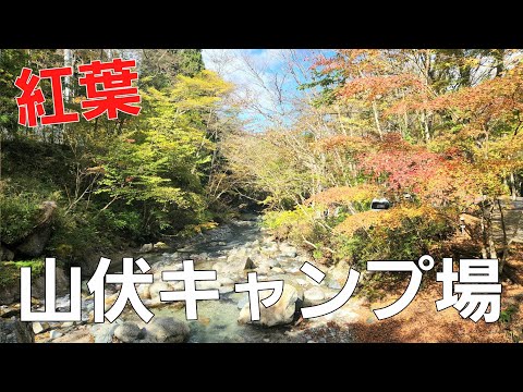 【山梨県】紅葉の山伏オートキャンプ場【ソロキャンプ】【秋キャンプ】【紅葉】【山梨県キャンプ場】【道志川】