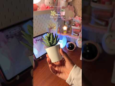 Fake plants from meesho 🪴 #meesho #meeshofinds #fakeplants #meeshohaul