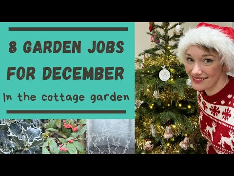 EIGHT JOBS FOR DECEMBER IN THE COTTAGE GARDEN & ALLOTMENT 2023