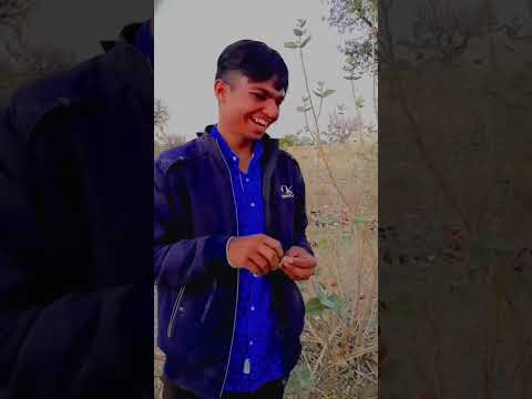 थे किया फिरो 🤣🤣🤣#viralvideo #instagram #funnyshorts