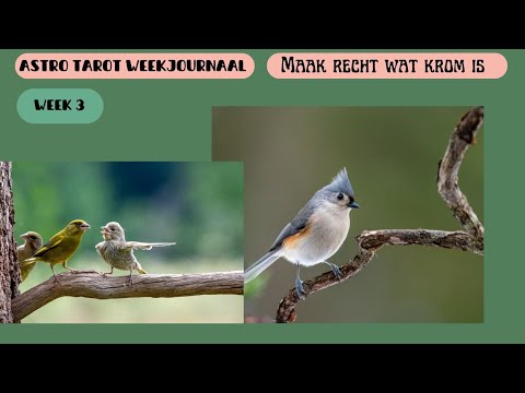 ASTRO TAROT weekjournaal 2025   week 3 -  Maak recht wat krom is