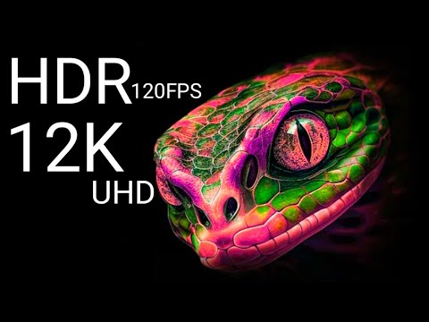 12K HDR 120FPS Dolby Vision / Unique Ultra HDR Dolby Vision