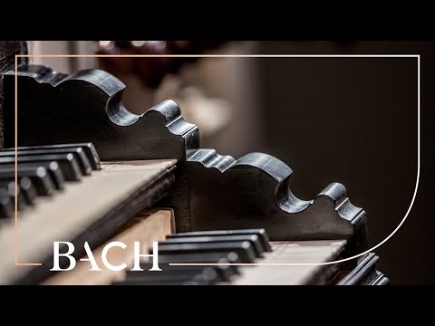 Bach - Christ, unser Herr, zum Jordan kam BWV 685 - Van Doeselaar | Netherlands Bach Society