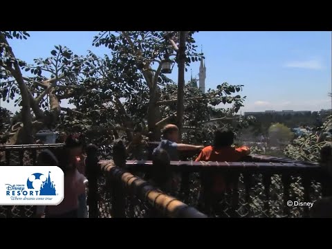 【公式】スイスファミリー・ツリーハウス / Swiss Family Treehouse | 東京ディズニーランド/Tokyo Disneyland