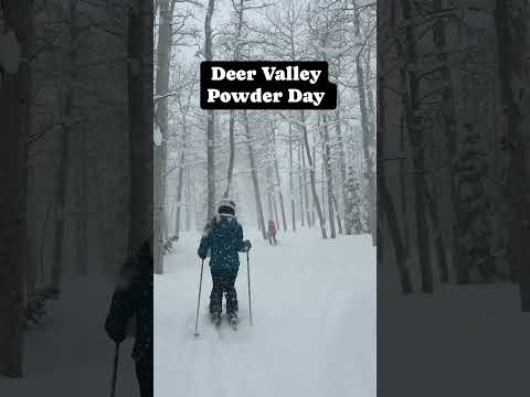 Deer Valley Skiing #skireview #skiing #deervalley