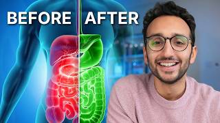 The Science of Gut Health (& Why It Matters)