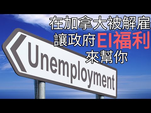 什麽是失業保險Employment Insurance | 哪些情況下可以申請EI福利 | 申請EI有哪些需要注意的地方 |最近加拿大超過100萬人申請EI，你符合資格嗎？|