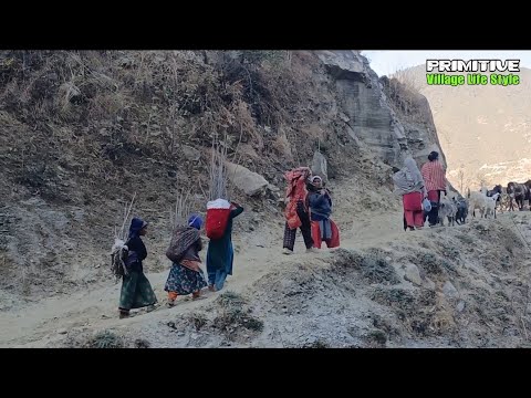 This is the beautiful Nepali Himalayan village life | Carrying food on mules is a risky job | PVLS |