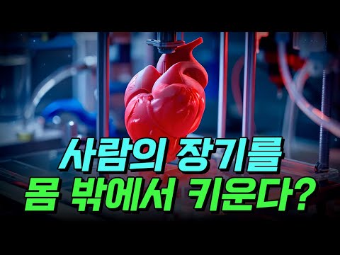 [핫클립] 사람의 장기를 몸 밖에서 키운다? '오가노이드'가 뭐길래?! / YTN 사이언스