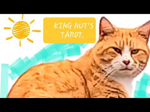 FUN TIME TAROT READING - TIMELESS MESSAGE🪶🎱