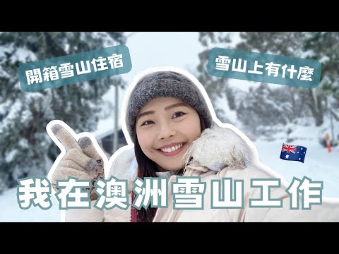 我來澳洲雪山工作啦！Falls Creek 雪山環境介紹＆員工住宿開箱✨｜澳洲打工度假｜馨蒂 Cindy