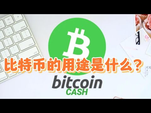 比特币的用途是什么？  Bitcoin's flaws?