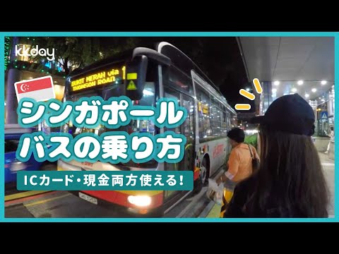 【シンガポール旅行】シンガポールバスの乗り方丸わかり！