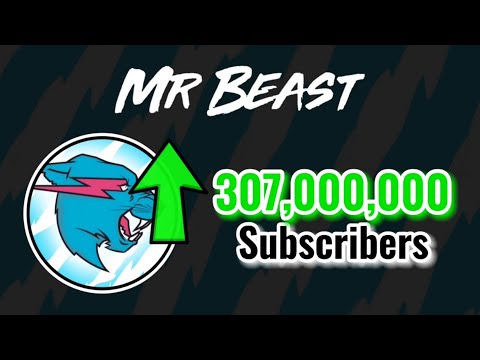 MrBeast Hitting 307 Million Subscribers! | Moment [353]