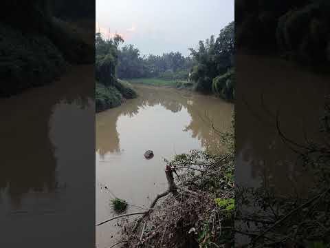 പനമരം പുഴയുടെ ഒരു സായാഹ്ന കാഴ്ച