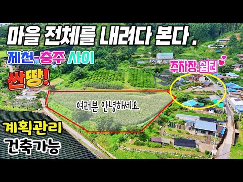 ⚡급매⚡싸고 넓고 전망 좋은 토지매매 발견! 충주 제천사이 접근성 좋은 마을 도로접 건축가능한 계획관리지역땅매매 급매물 제천땅집부동산TV