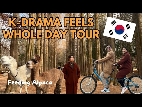 South Korea Travel Guide: Alpaca World, Nami Island, Garden of the Morning Calm 🇰🇷❄️ kriserika