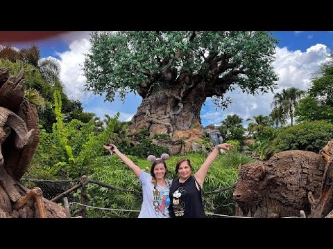 #animalkingdom #animals #park #mounteverest #rider #travel to #disney