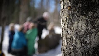 Where The Wild Ones Grow - Nature School