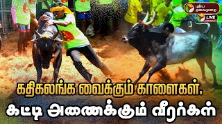 🔴LIVE: Alanganallur Jallikattu 2025 | களத்தை கதிகலங்க வைக்கும் காளைகள்.. கட்டி அணைக்கும் வீரர்கள்