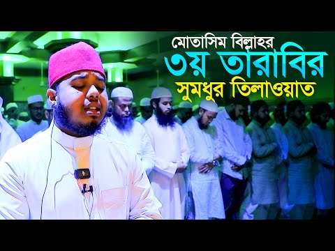 ৩য় দিনের তারাবি নামাজের সুমধুর তেলাওয়াত ক্বারী মুতাসিম বিল্লাহ Qari Mutasim Billah 3 Tarabi