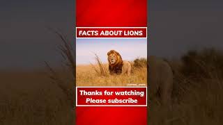 Amazing Facts About Lions #newfacts2022 #lionfacts #forestkingfacts #shorts #ytshorts #part_1