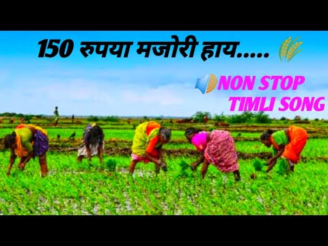 150 रुपया मजोरी हाय 🌾 |150 rupya majori hay new timli song